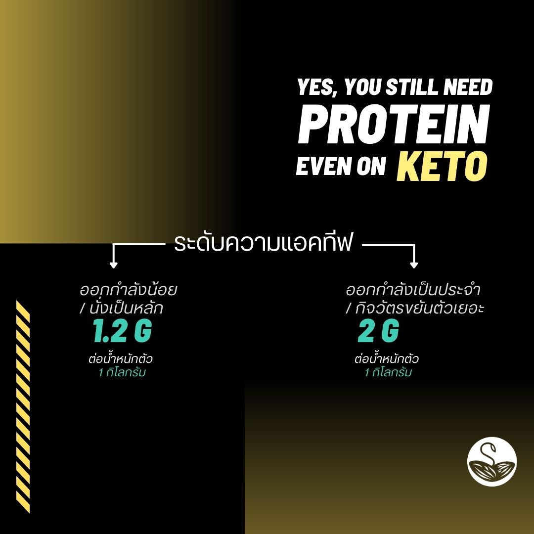 SS | High Protein Keto Brownie Cake