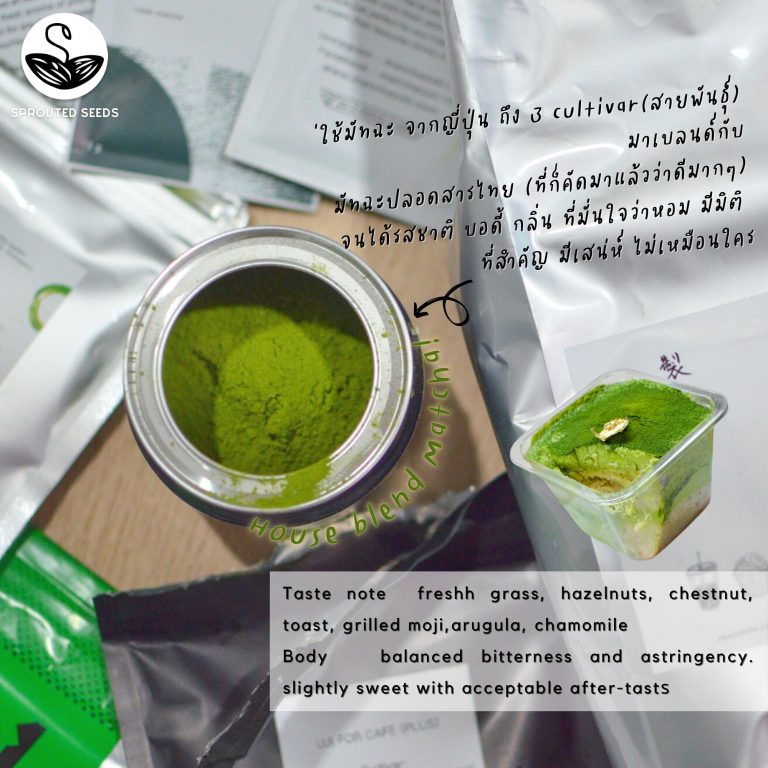 SS | Matcha mousse high protein cake matcha mousse cake (protein formular)