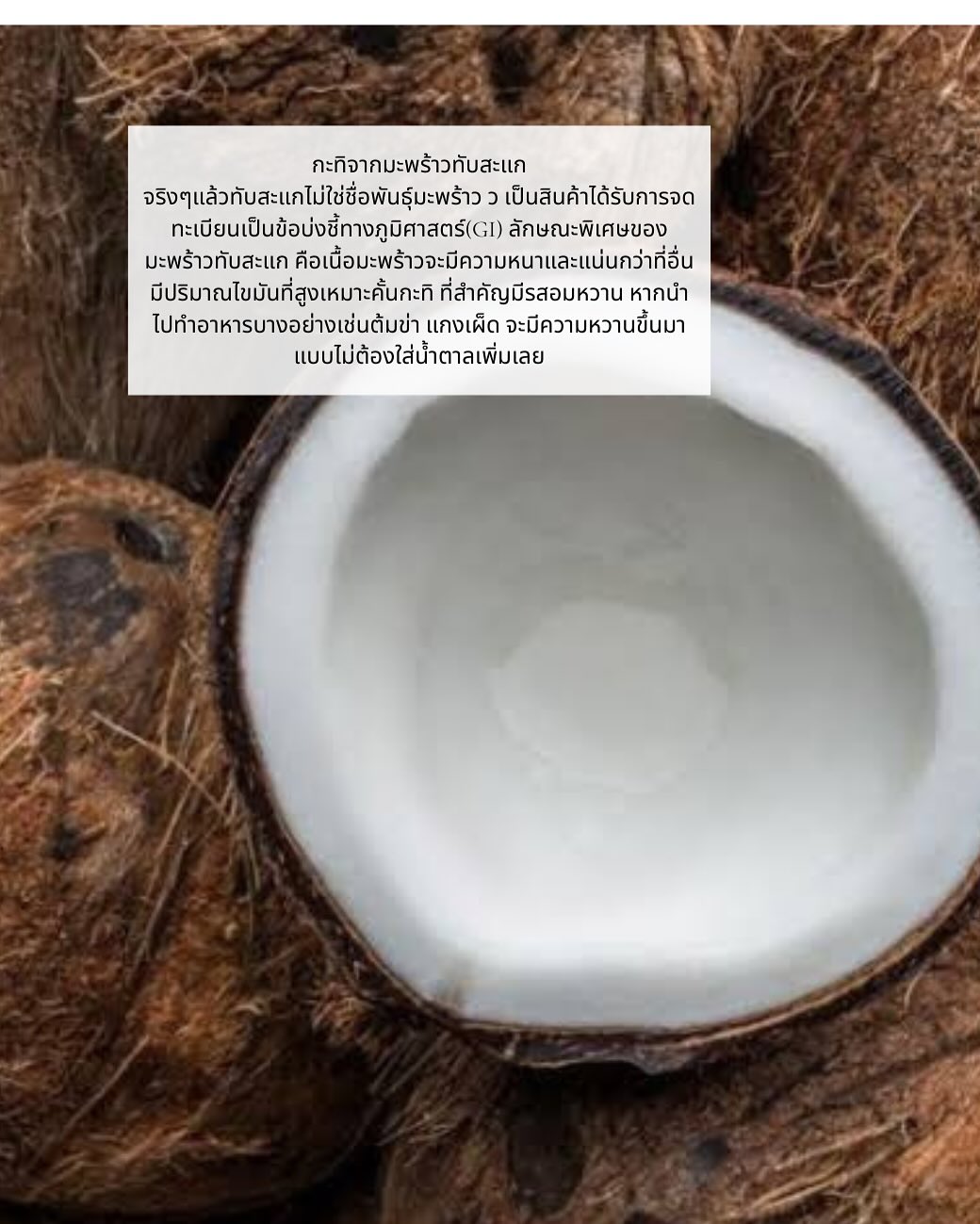 SS | Taro paste & coconut pudding parfait