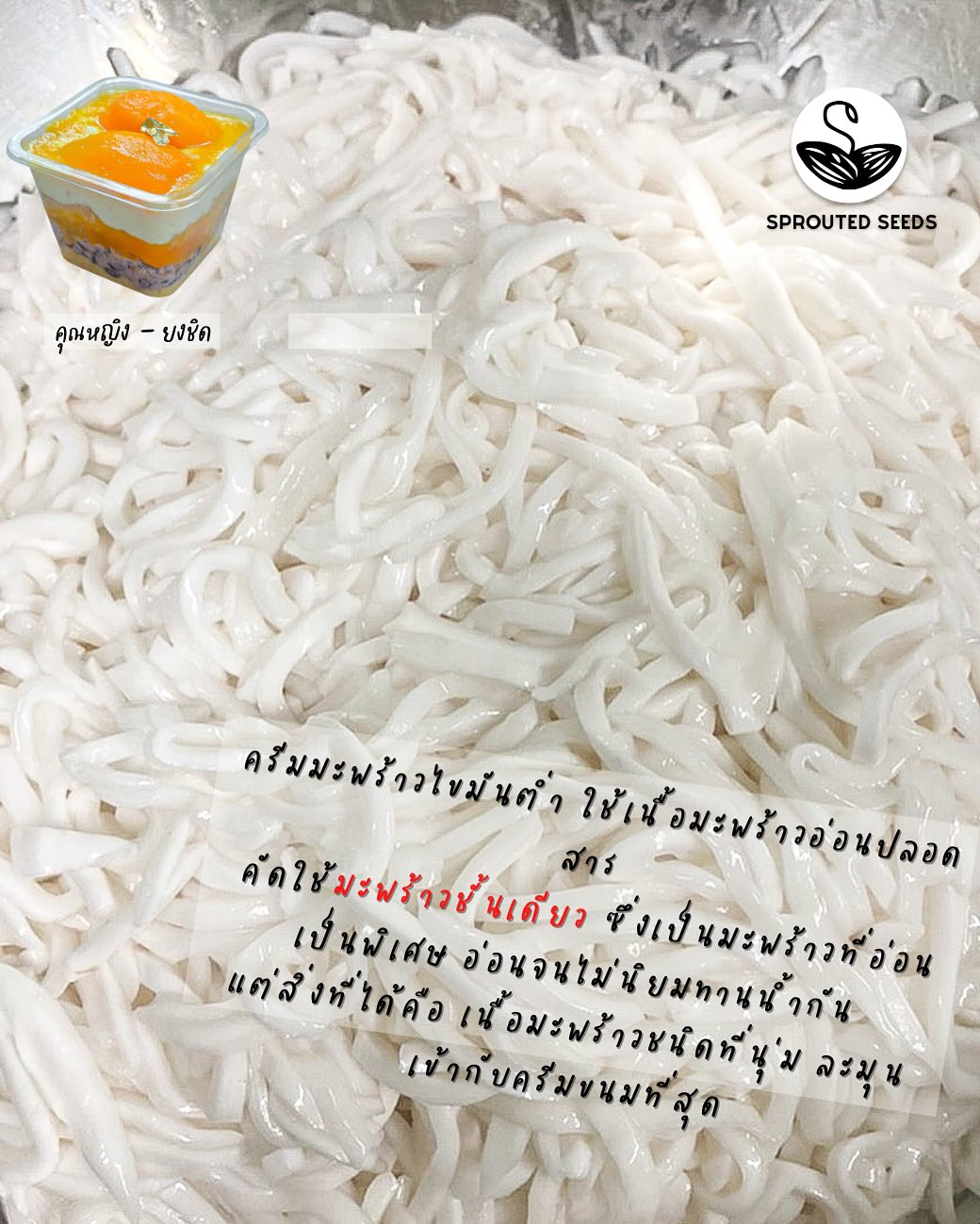 SS | Yong chid, Moon Sticky Rice, Low fat young coconut cream, Crispy Mung bean Parfait (No sugar added)