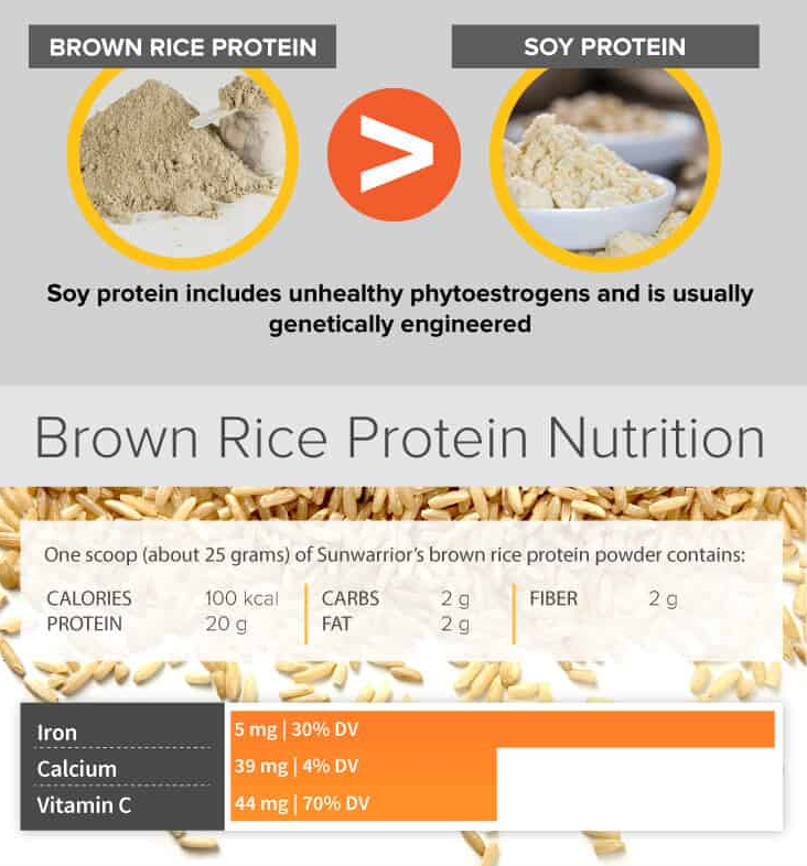 Organic plant-based brown rice protein powder | Increase protein intake