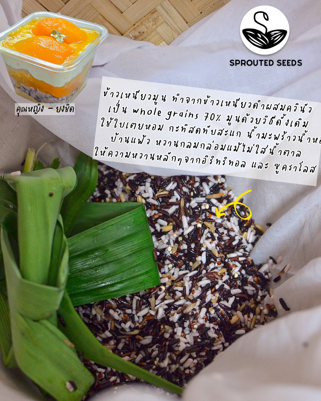 SS | Yong chid, Moon Sticky Rice, Low fat young coconut cream, Crispy Mung bean Parfait (No sugar added)