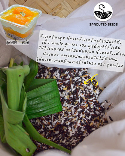 SS | Yong chid, Moon Sticky Rice, Low fat young coconut cream, Crispy Mung bean Parfait (No sugar added)