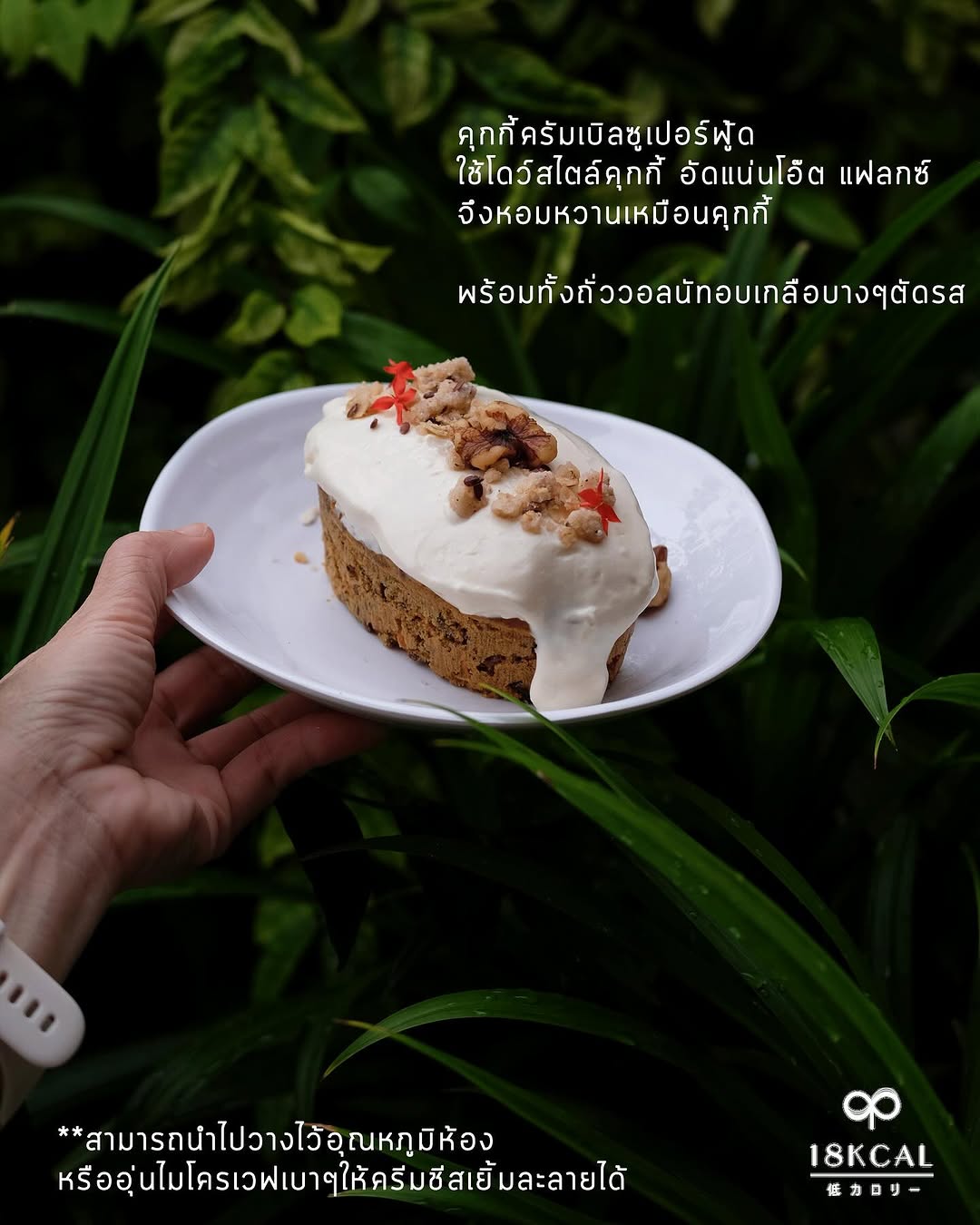 18 Kcal | American Journey Carrot Cake