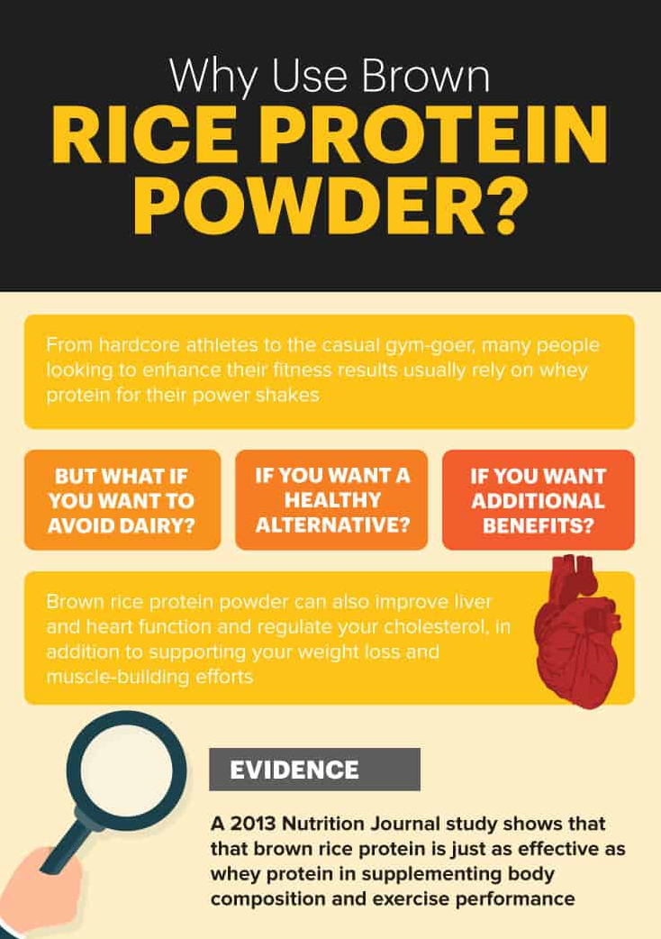 Organic plant-based brown rice protein powder | Increase protein intake