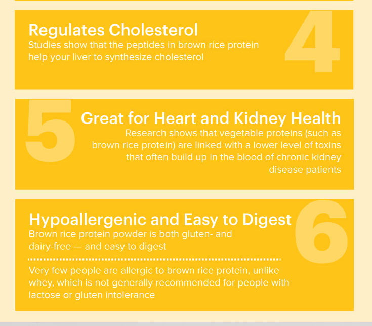 Organic plant-based brown rice protein powder | Increase protein intake