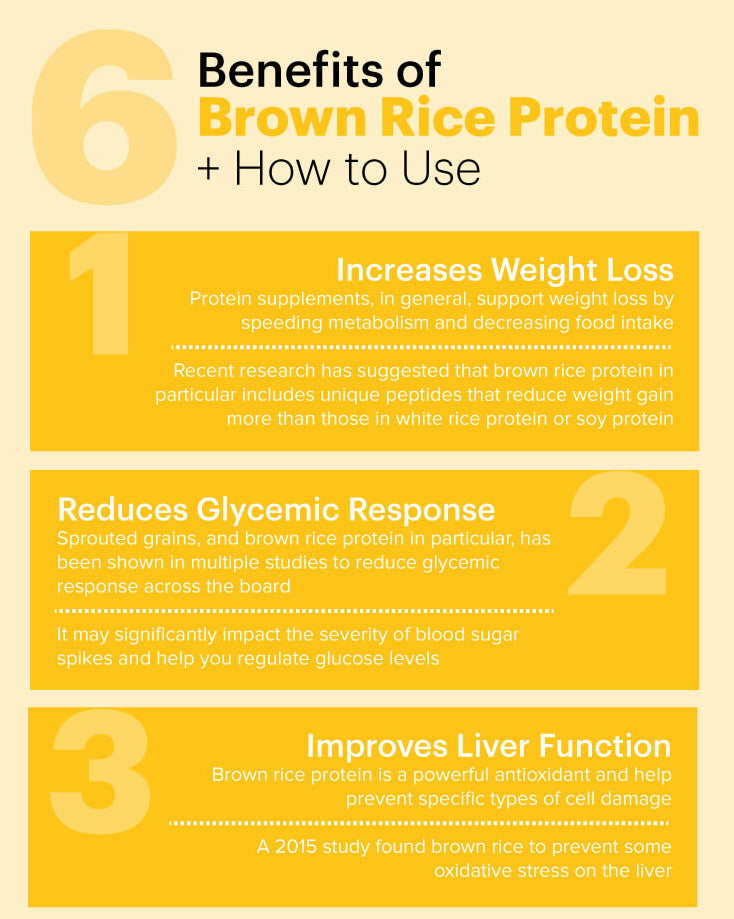 Organic plant-based brown rice protein powder | Increase protein intake